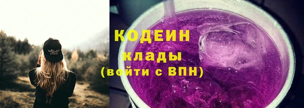дурь Богданович
