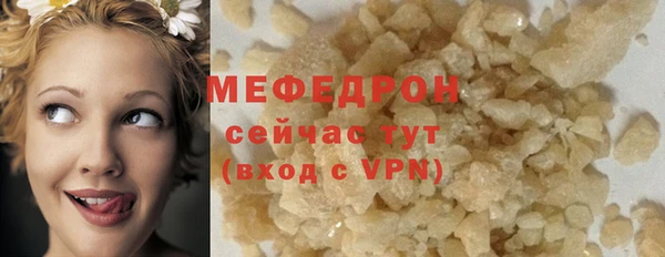 мдпв Богородск