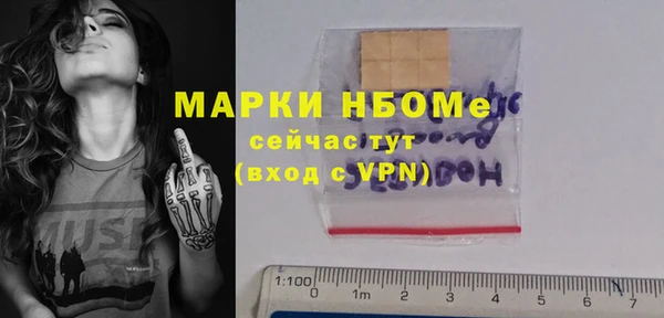 мдпв Богородск