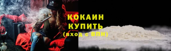 дурь Богданович