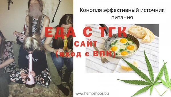 мдпв Богородск