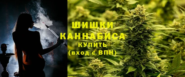 дурь Богданович