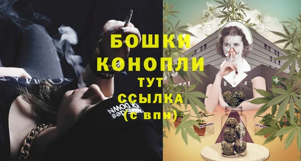 дурь Богданович
