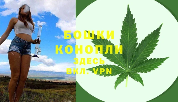 спайс Богородицк